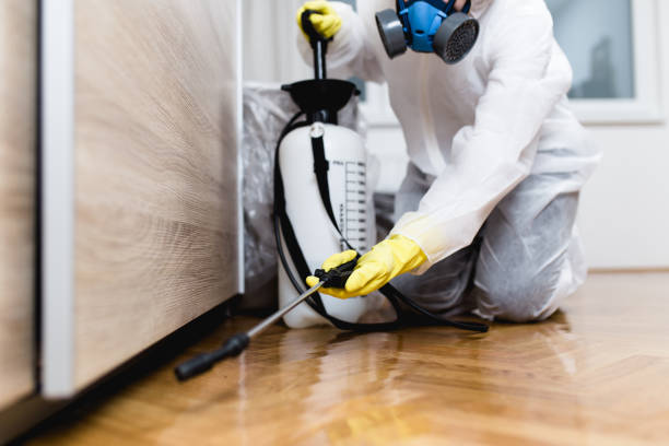 Best Pest Control Near Me  in Tuolumne City, CA