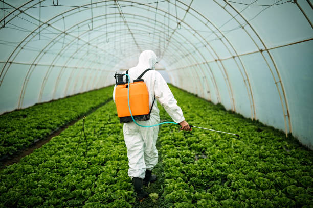 Best Pest Removal Services  in Tuolumne City, CA