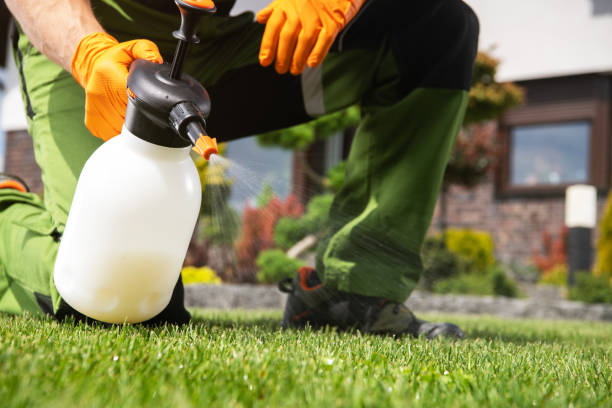 Best Bed Bug Extermination  in Tuolumne City, CA