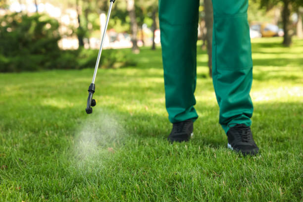 Best Pest Inspection Near Me  in Tuolumne City, CA