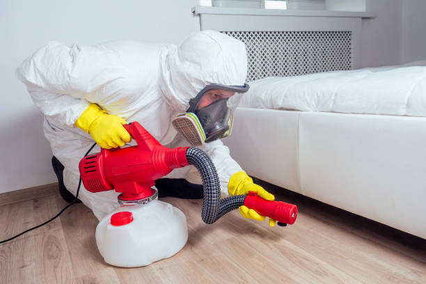 Best Rat Extermination Near Me  in Tuolumne City, CA