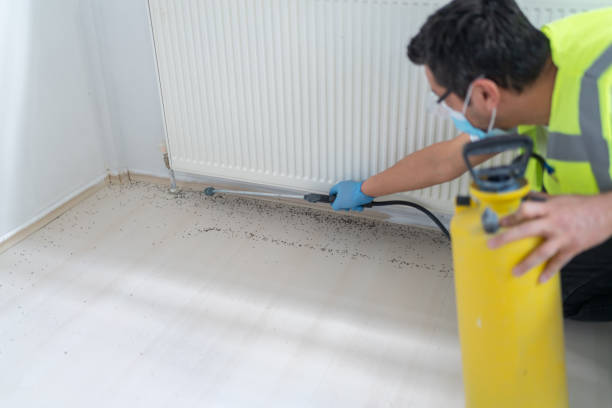 Best Local Pest Control Services  in Tuolumne City, CA
