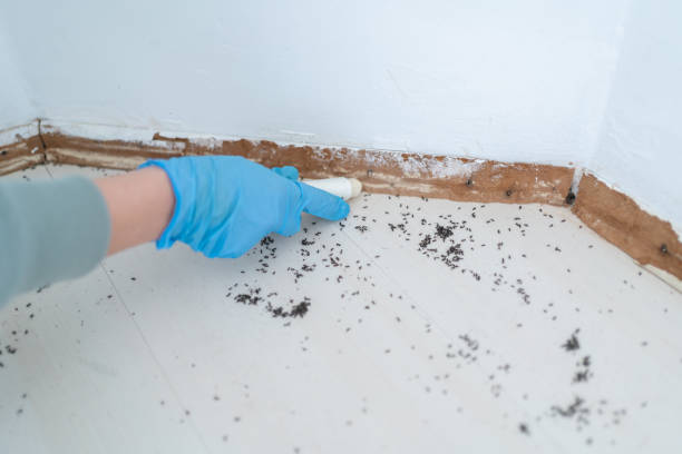 Best Residential Pest Control  in Tuolumne City, CA